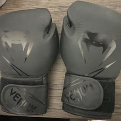 Venum Boxing Gloves 
