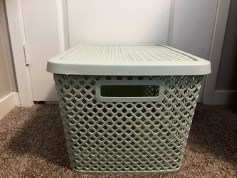 Plastic Tote with lid