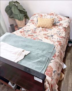 CostCare B120C Semi-Electric Homecare H. Bed