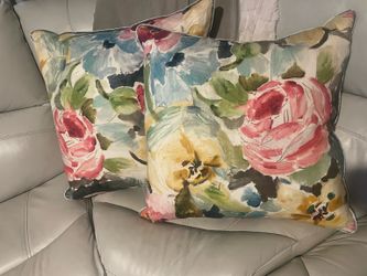 Expensive pillows