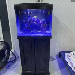 Bio Cube 34 Gallon