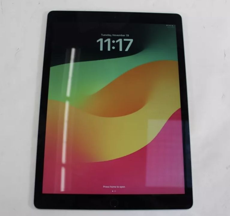 Ipad Pro 12.9 2nd Gen 256 GB Wi-Fi & Cellular Modem