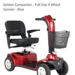 Blue-Golden companion scooter