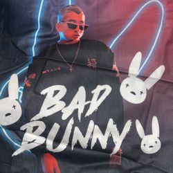 Bad Bunny Blanket & Pillow Case 