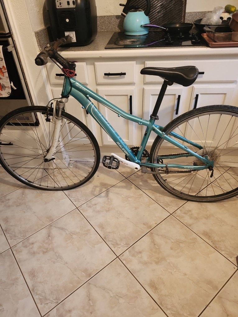 Raleigh Eva 4.0 2013