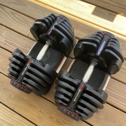Bowflex 1090 Adjustable Dumbbells 