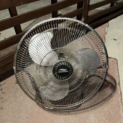 Fan
