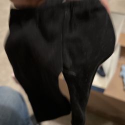 AMERICAN GIRL of Today Doll "Coconut Best Friend" boxed complete outfit