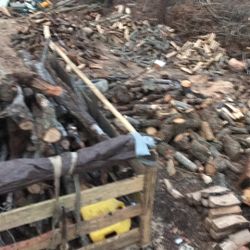 Firewood