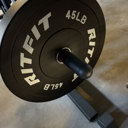 2X 45 Lb Rubber Weight Plates $100