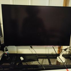 LG Ultragear OLED  27GS95QE 1440p 240hz
