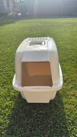 cat litter box