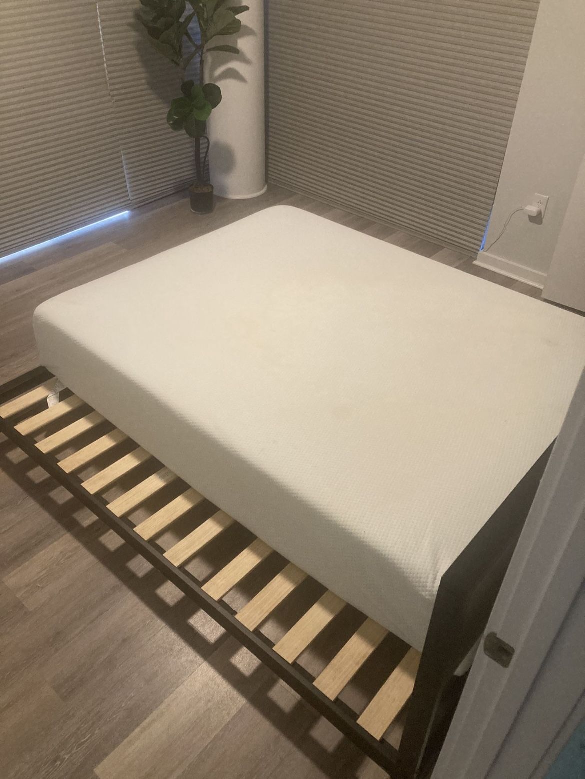 Zinus 12 Inch GREEN Tea Mattress and Frame
