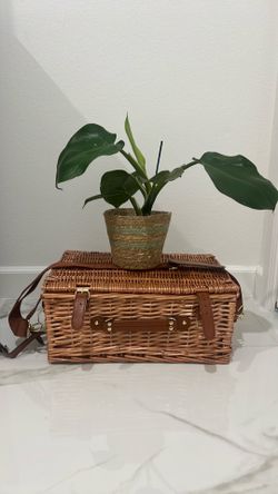 Vintage Picnic Basket w/ Cutlery