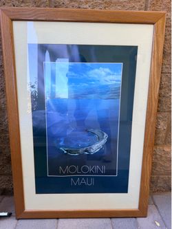 Oak Framed Picture - Molokini Maui
