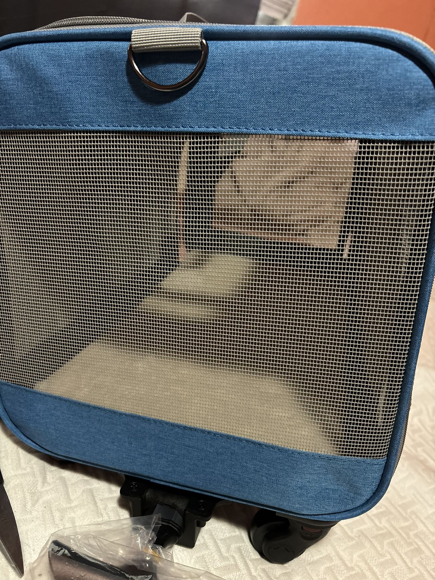 pet carrier with wheels