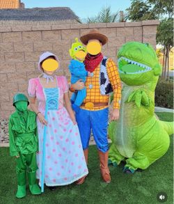 Toy Story costume
