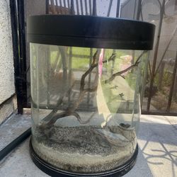 10 Gallon Half Moon Fish Tank