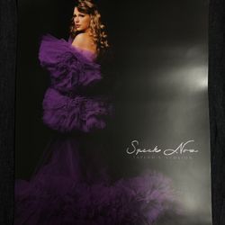 Taylor Swift Speak Now Taylor’s Version Poster 