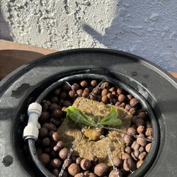 Hydroponic/ Deep Water Cultivation System 