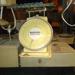 Scale 