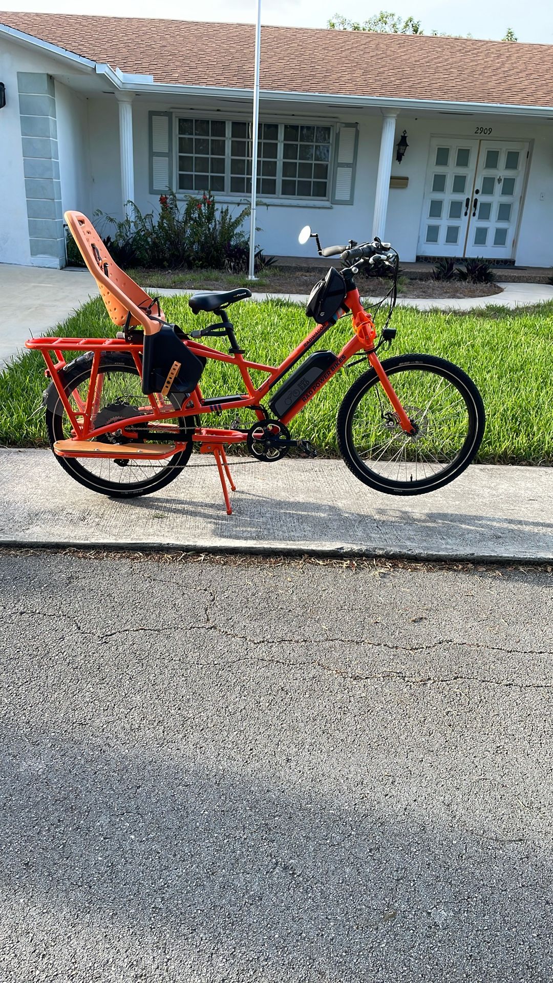 Cargo E Bike
