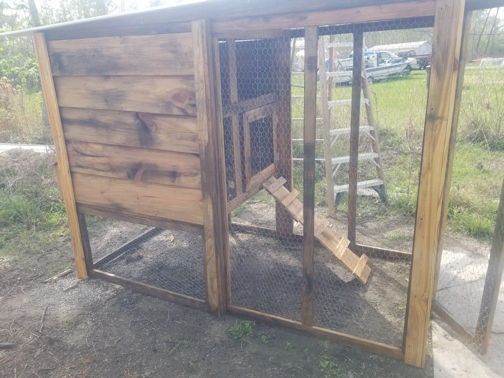 Chicken Cages