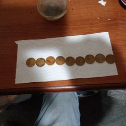 Set Of 9 Coins - 5 Cents /Cinco Centavos