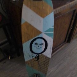 Long Board Skateboard 