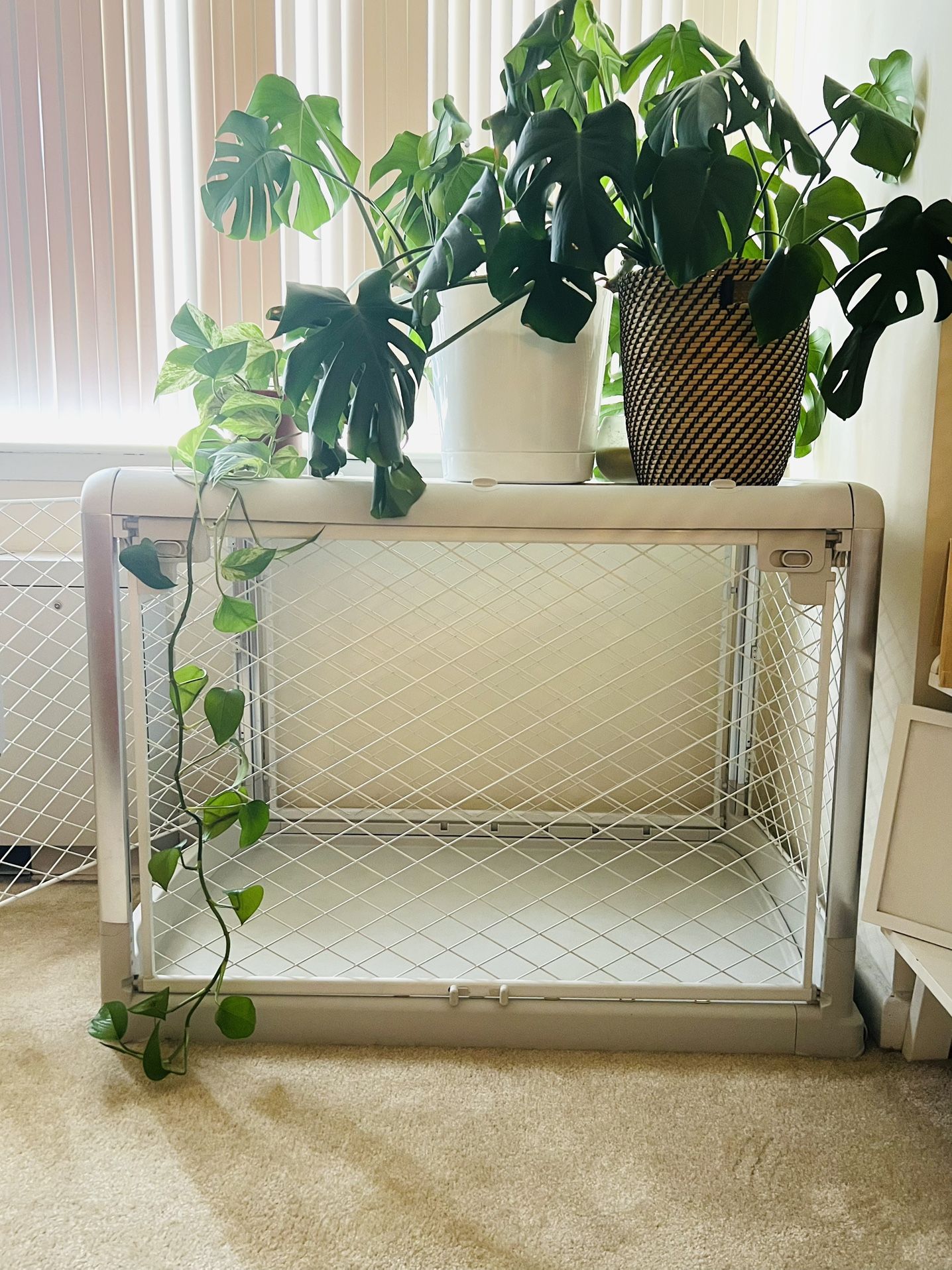 Diggs Revol Dog Crate