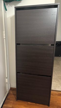 Shoe Cabinet