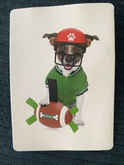 Disfraces De Perro De Halloween 