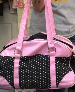 Companion Road Small Pet Carrier