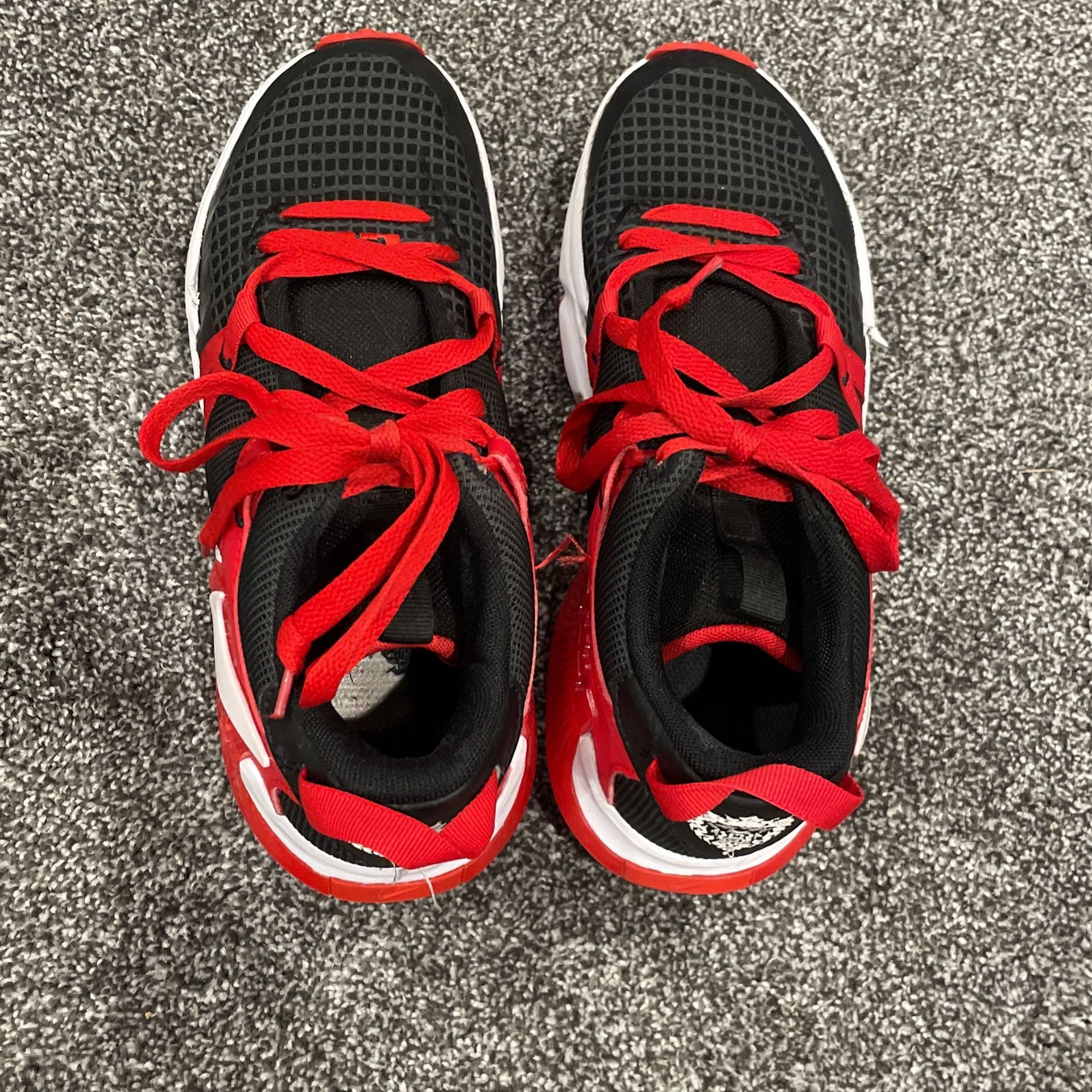 LeBron Basketball Shoes 
