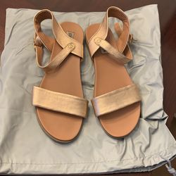 Steve Madden shoes
