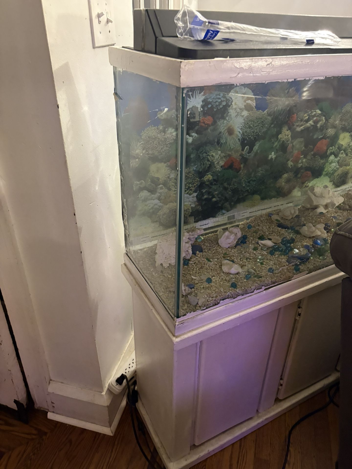 Fish Tank
