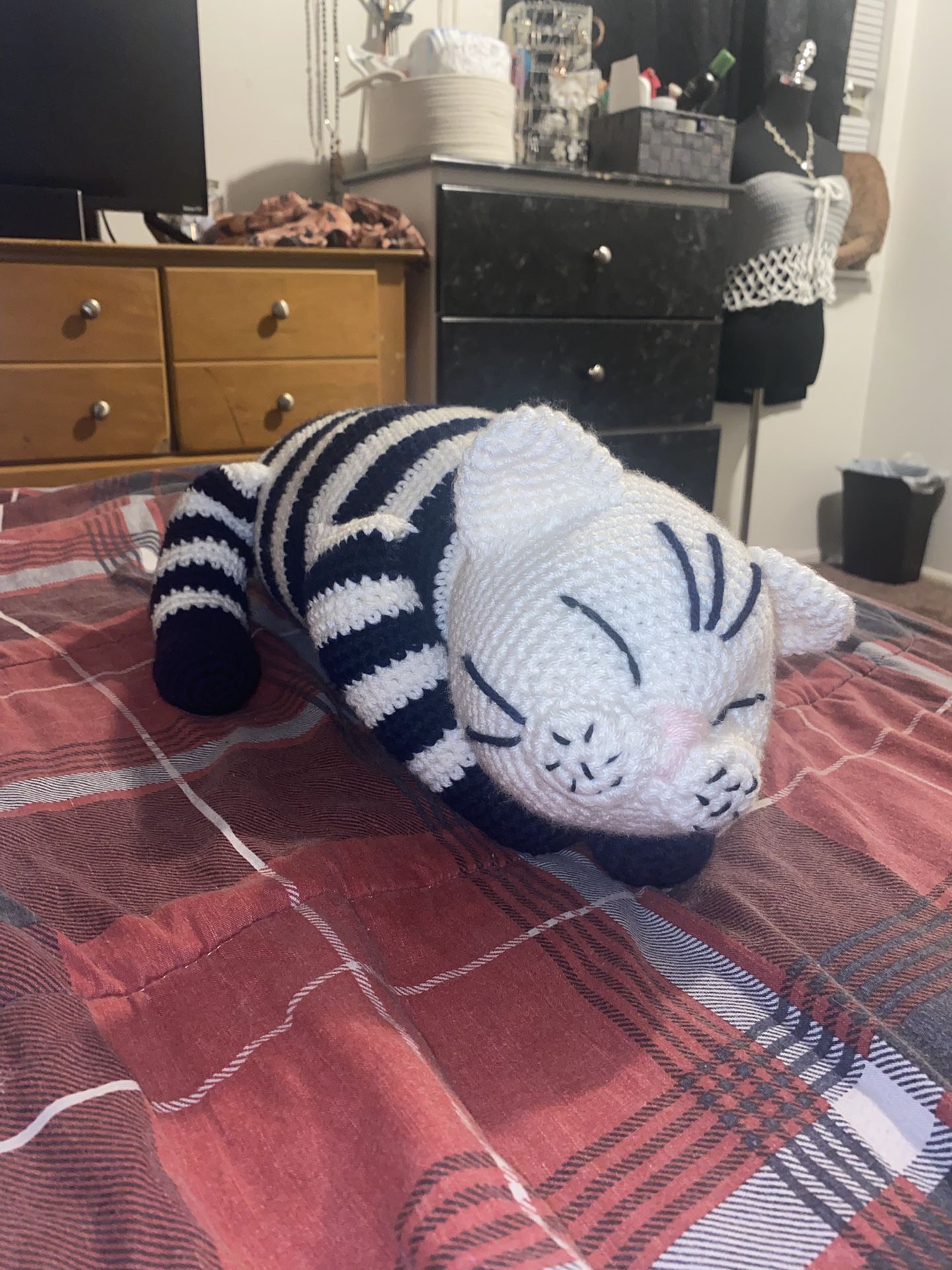Sleeping Cat