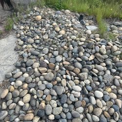 River Rocks-$20 per 5 gal bucket. US Cash Only. Pick-Up in Clovis. No Delivery.