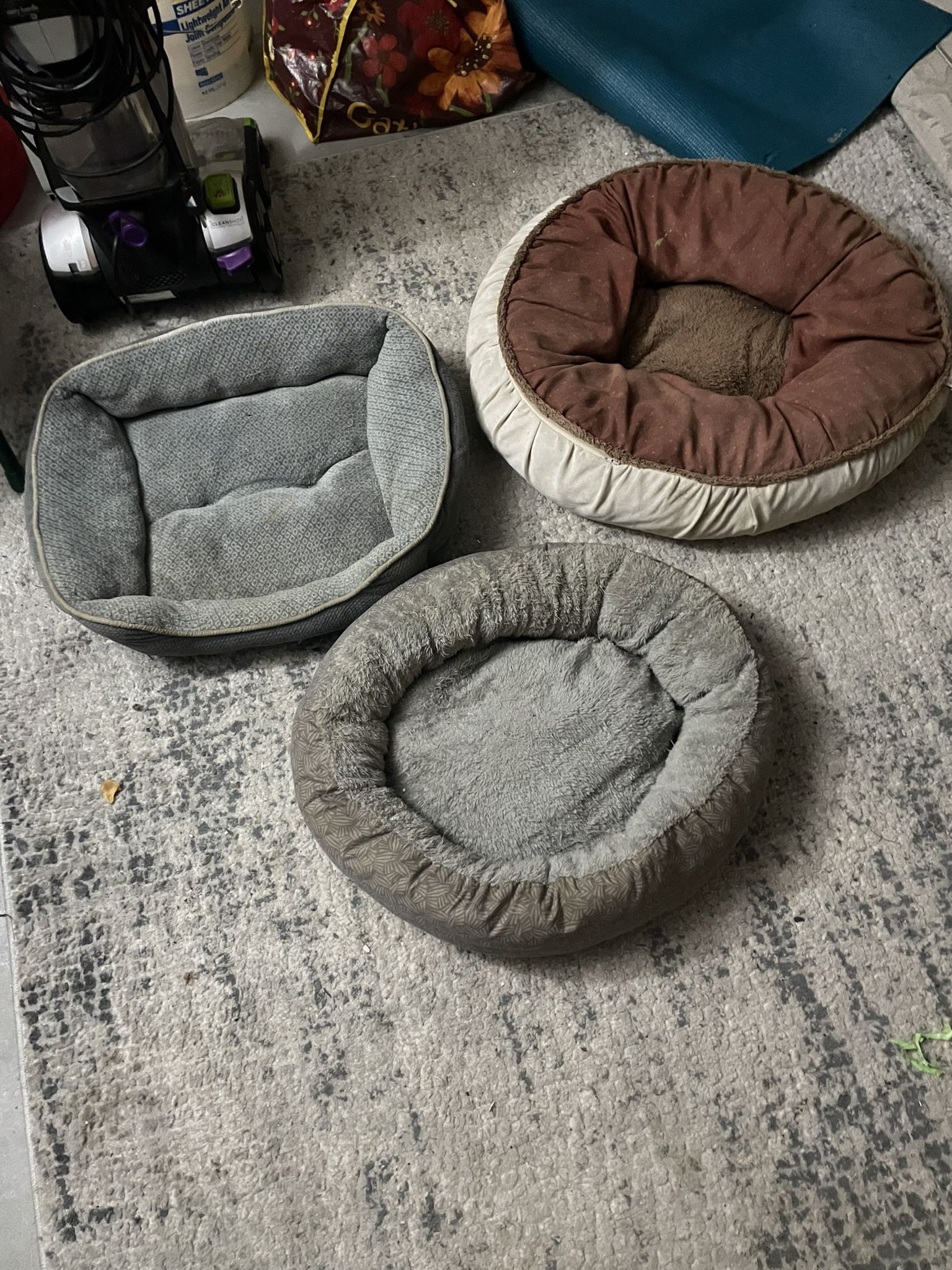Pet Beds