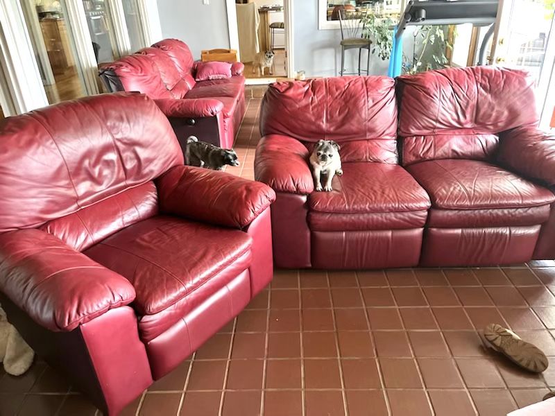 Three Red Couches! Pug Not Included:) 