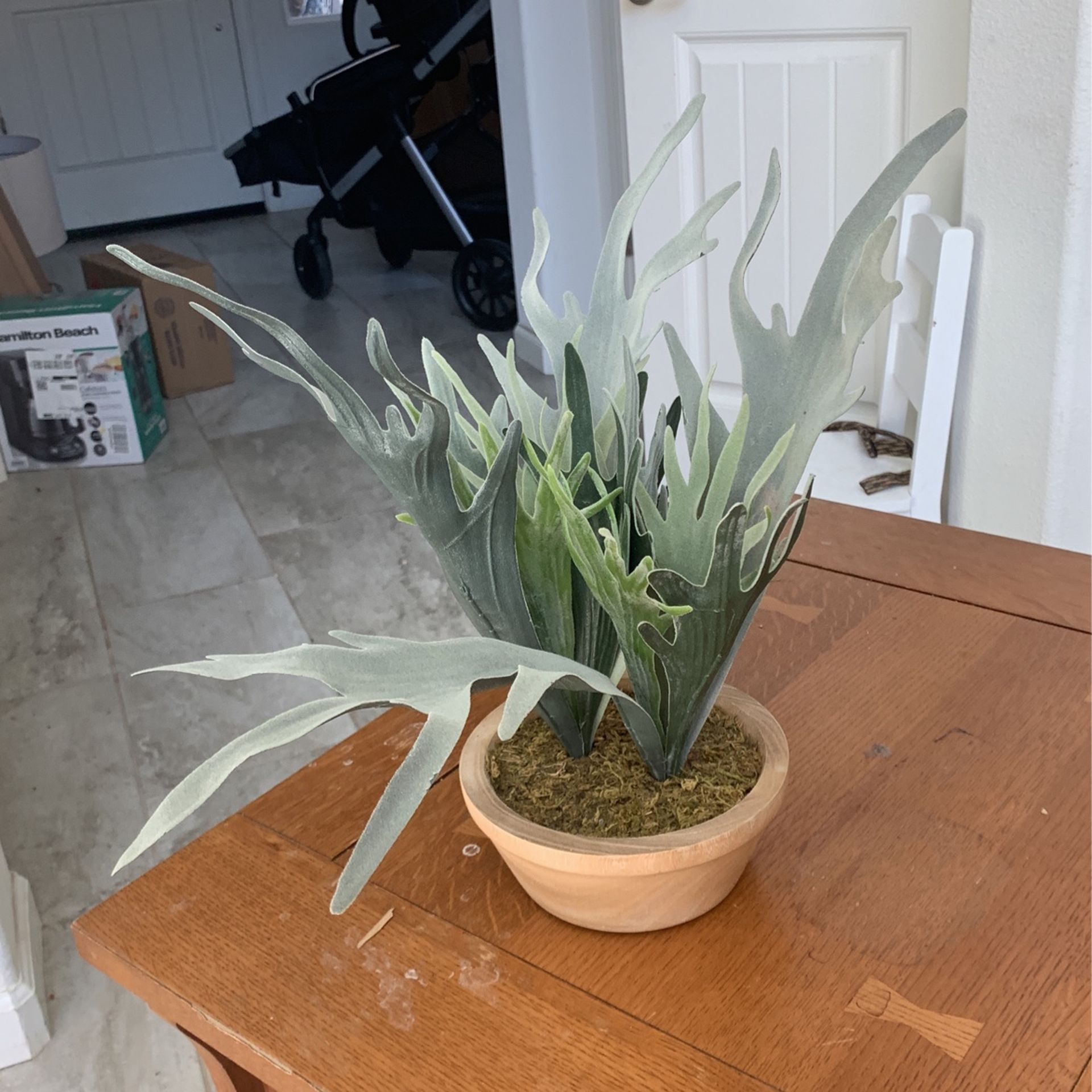 Fake Plant From Target