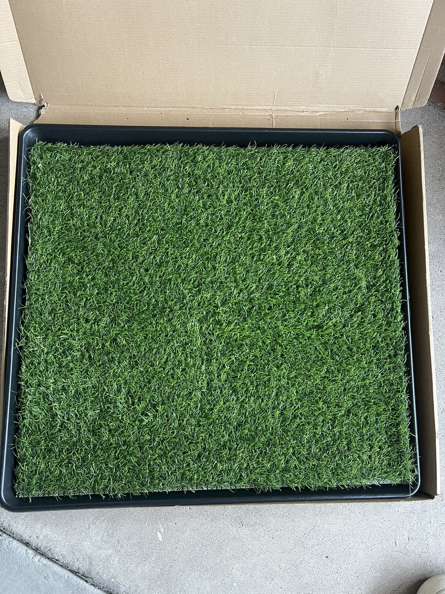 Pet 23.5x 23.5”