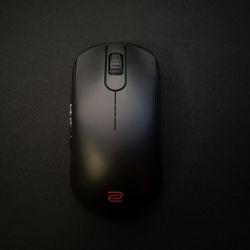 Gaming Mouse Bundle Zowie, Endgame Gear