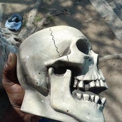 Romdon vintage skull 1974