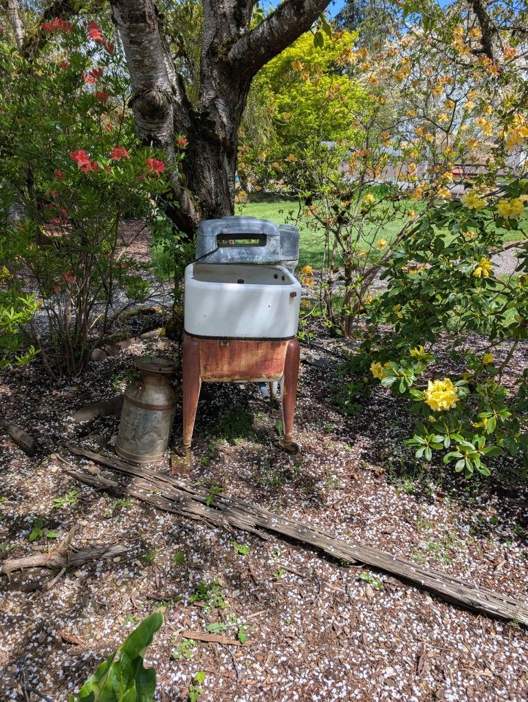 Antique Washing Machine