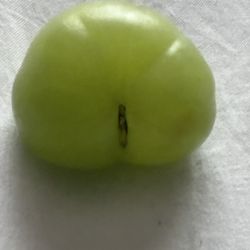 Green Juicy Big Grape