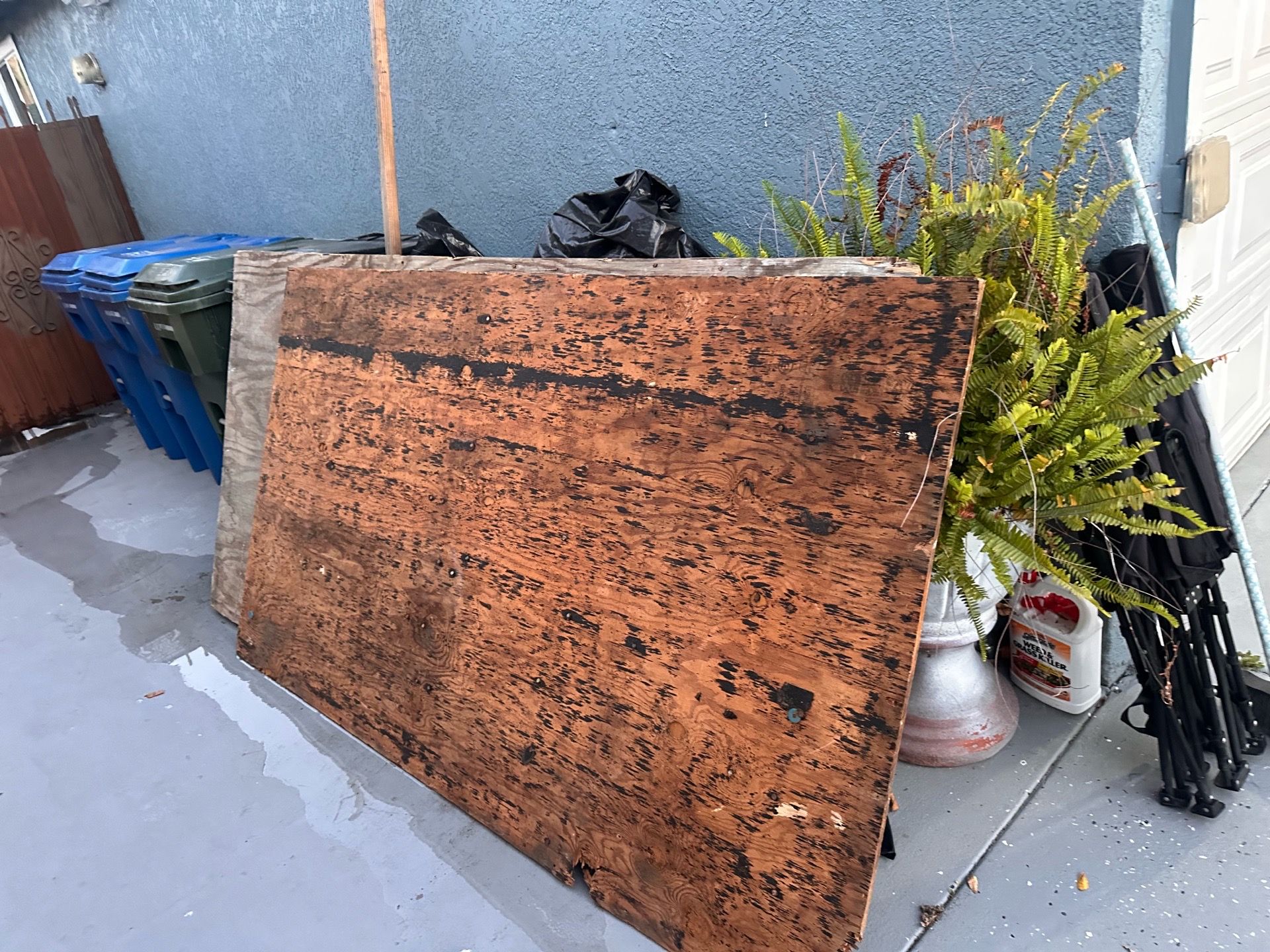Free Plywood