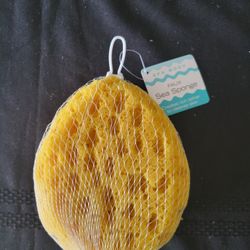 Faux Sea Sponge 