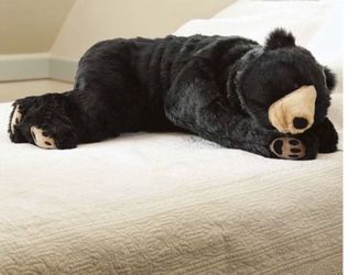 Super Soft Bear Hug Body Pillow / Giant Push Bear Hug