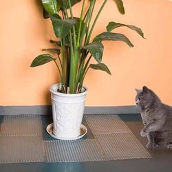 Pet/Cat Training Mat
